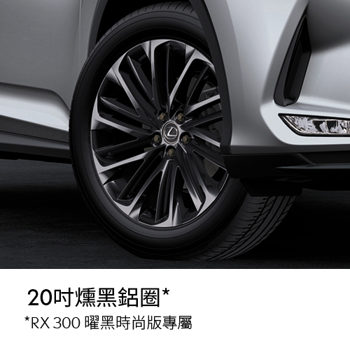 RX 300 曜黑時尚版專屬20吋